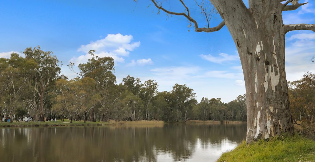 Riverbank in Benalla
